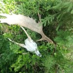 phoca_thumb_m_vp -3. den 33 Fotogalerie